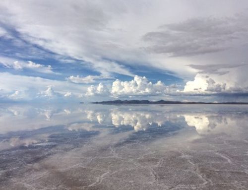 Taking a Moment to Reflect